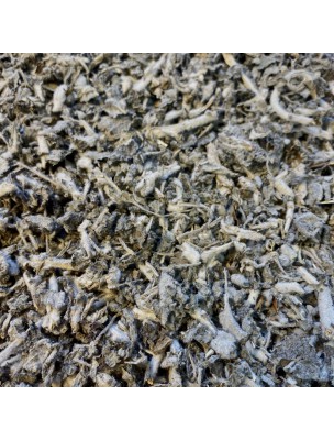Image de Marrube blanc Bio - Partie aérienne coupée 100g - Tisane de Marrubium vulgare L. via Achetez Thym "Sud France" Bio - Feuille entière 100 g
