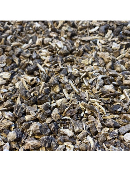 Image principale de Echinacée Bio - Racine coupée 100g - Tisane Echinacea angustifolia