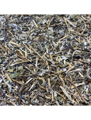 https://www.louis-herboristerie.com/58168-home_default/pilosella-bio-cut-aerial-part-100g-herbal-tea-from-hieracium-pilosella-l.jpg
