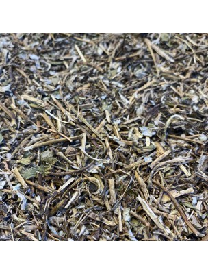 Image de Piloselle Bio - Partie aérienne coupée 100g - Tisane de Hieracium pilosella L. depuis Achetez notre Cure de printemps naturelle et bio