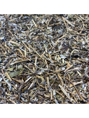 Image de Piloselle Bio - Partie aérienne coupée 100g - Tisane de Hieracium pilosella L. via Fucus Bio - Thalle coupé 100g - Tisane Fucus serratus