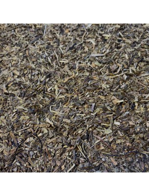 Image de Plantain Bio - Feuilles coupées 100g - Tisane de Plantago major L. via Acheter AllarGEM GC01 Bio - Allergies 15 ml -