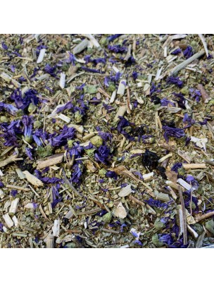 Image de Tisane Digestion N°1 Acidité - Mélange de plantes -100 grammes via Tisane Digestion N°13 Bio - Mélange Plantes - 100g | Marque