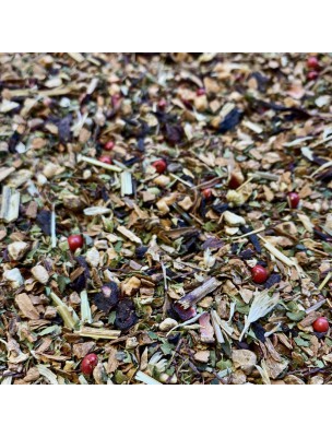 Image de Rooibos Gourmand de Noël Bio - Infusion épicée d'Afrique du Sud 100g depuis Théière Boule Blanche en Faïence 750 ml