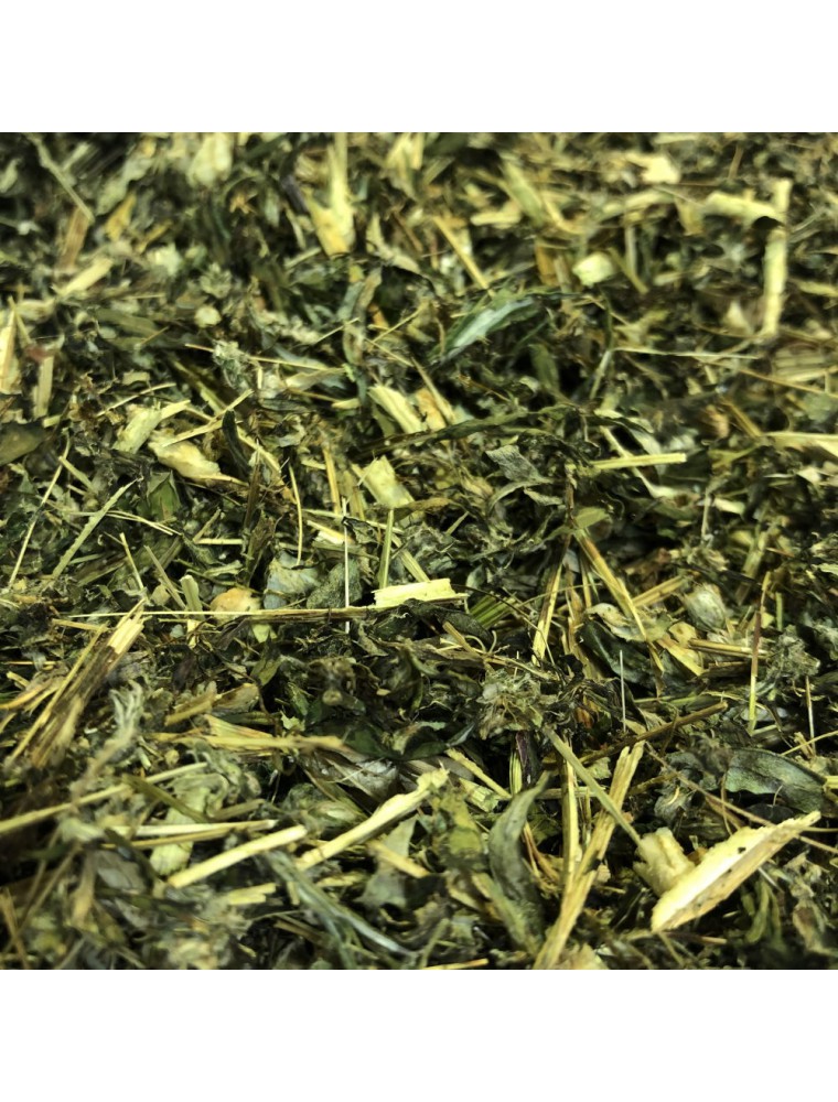 Mugwort Bio - Cut aerial part 100g - Herbal tea of Artemisia vulgaris L.