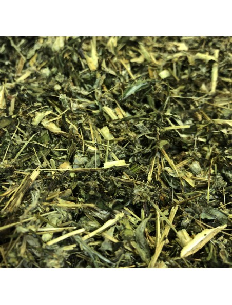 Armoise Bio - Partie aérienne coupée 100g - Tisane d'Artemisia vulgaris L. Armoise Bio - Partie aérienne coupée 100g - Tisane d'Artemisia vulgaris L.