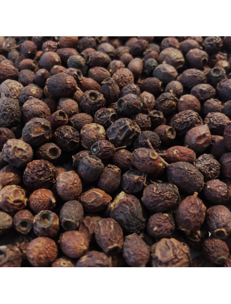 Aubépine Bio - Fruit (Cenelle) 100g - Tisane de Crataegus monogyna