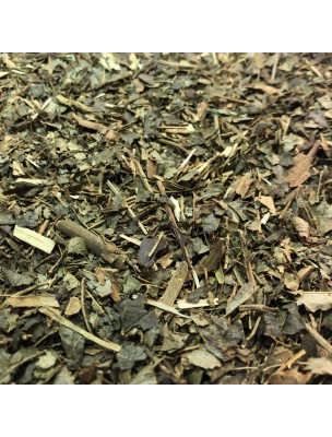 Image de Hamamélis Bio - Feuilles coupées 100g - Tisane Hamamelis virginiana L. via Tisane Circulation N°5 Bio - Jambes Légères - Plantes - 100 g