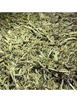 Image de Valériane Bio - Racine coupée 100g - Tisane de Valeriana officinalis L. depuis PrestaBlog