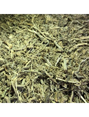 Image de Valériane Bio - Racine coupée 100g - Tisane de Valeriana officinalis L. via Pommier bourgeon Bio - Calmant nerveux 30 ml -