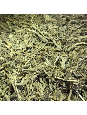 Image de Valériane Bio - Racine coupée 100g - Tisane de Valeriana officinalis L. via Mélisse Bio - Biover 50ml