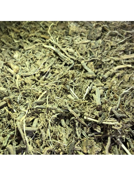 Valériane Bio - Racine coupée 100g - Tisane de Valeriana officinalis L.