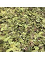 Image de Organic red vine - Cut leaves 100g - Herbal tea from Vitis vinifera L. via Buy BeVeine Red Vine - Circulation and Heavy Legs 60 capsules - English