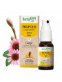 Image de Propolis Bio Large Spectrum - Respiratory System 15 ml Spray - Herbalgem via Buy Fir Tree Balm - Breathing 50 ml - Organic