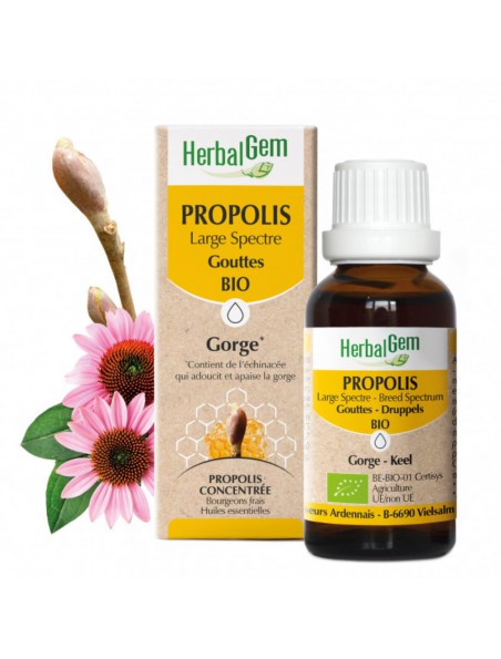 Image principale de Propolis Bio Large Spectre en gouttes - Système respiratoire 15 ml - Herbalgem