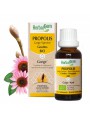 Image de Propolis Bio Large Spectrum drops - Respiratory system 50 ml - (French) Herbalgem via Buy Aromaforce Grog Bio - Respiratory Tract 100 ml -