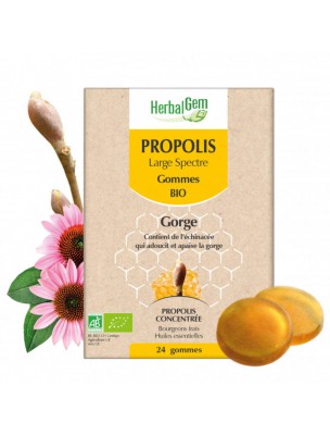 Image de Propolis Gommes Bio Large Spectre - Gorge 24 gommes - Herbalgem via Spray Gorge Bio - Miel de Manuka IAA 10+