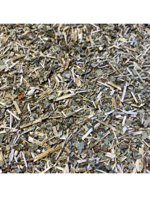 Image de Alchemilla Bio - Cut aerial part 100g - Herbal tea of Alchemilla vulgaris L. depuis Order the products Louis Organic at the herbalist's shop Louis