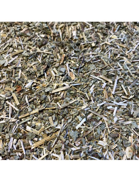 Alchemilla Bio - Cut plant 100g - Herbal tea of Alchemilla vulgaris L.