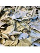 Oranger bigaradier Bio - Feuille entière 50g - Tisane de Citrus aurantium