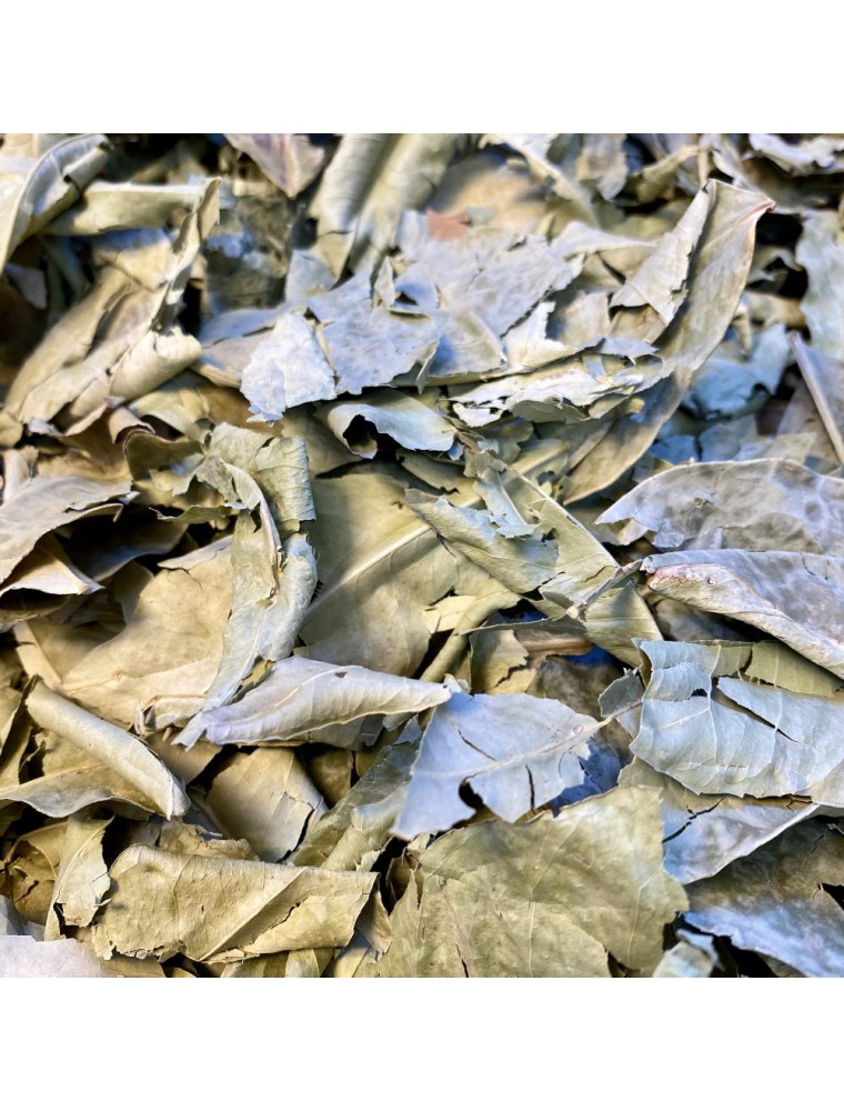 Image principale de la modale pour Oranger bigaradier Bio - Feuille entière 50g - Tisane de Citrus aurantium