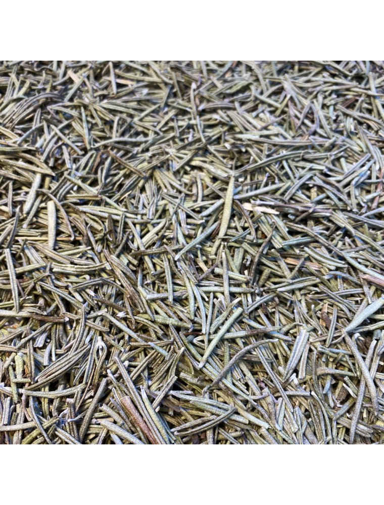 Romarin France Bio - Feuilles 100g - Tisane de Rosmarinus officinalis L.