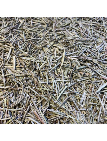 Romarin France Bio - Feuilles 100g - Tisane de Rosmarinus officinalis L. Romarin France Bio - Feuilles 100g - Tisane de Rosmarinus officinalis L.