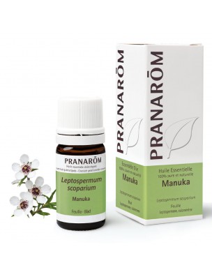 Image de Manuka - Huile essentielle de Leptospermum scoparium 5 ml - Pranarôm depuis Résultats de recherche pour "Les Molécules A"