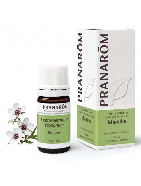 Achetez Manuka - Huile essentielle de Leptospermum scoparium 5 ml - Pranarôm à l'herboristerie Louis Image principale de Manuka - Huile essentielle de Leptospermum scoparium 5 ml - Pranarôm
