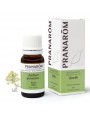 Image de Aneth - Huile essentielle d'Anethum graveolens 10 ml - Pranarôm via Acheter Aneth Bio - Fruit 100g - Tisane d'Anethum