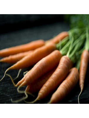 https://www.louis-herboristerie.com/58767-home_default/carrot-daucus-carota-var-sativus-5-ml-pranarom.jpg