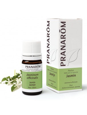 Image de Jasmin (absolue) - Jasminum officinalis 5 ml - Pranarôm via Vanille Bio - Vanilla planifolia 5 ml - Pranarôm