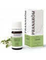 Image de Jasmine (absolute) - Jasminum officinalis 5 ml Pranarôm via Buy Neroli - Citrus aurantium ssp amara Essential Oil 2 ml
