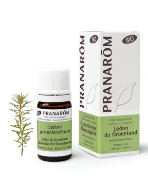 Image de Lédon du Groenland Bio - Ledum groenlandicum 5 ml - Pranarôm depuis Résultats de recherche pour "Set of 2 Porcel"