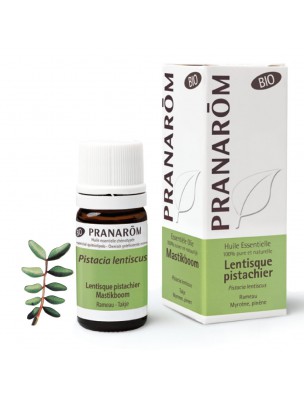 Image de Pistachio Mastic Bio - Pistacia lentiscus 5 ml Pranarôm depuis Essential oils for circulation (2)