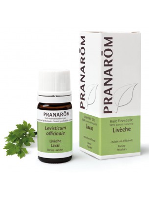 Image de Lovage (mountain avens) - Essential oil Levisticum officinale 5 ml Pranarôm depuis Anti-cholesterol essential oils