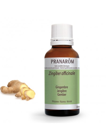 Ginger - Zingiber officinale Essential Oil 30 ml Pranarôm Ginger - Zingiber officinale Essential Oil 30 ml Pranarôm