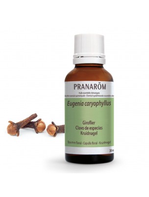 Image de Clove tree - Eugenia caryophyllus Essential Oil 30 ml Pranarôm depuis Hygiene, care and make-up for eyes, face and hair
