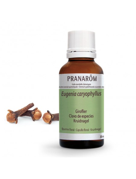 Ginger - Zingiber officinale Essential Oil 30 ml Pranarôm Ginger - Zingiber officinale Essential Oil 30 ml Pranarôm