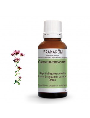Image de Origan compact - Huile essentielle Origanum compactum 30 ml - Pranarôm depuis Huiles essentielles pour les défenses immunitaires