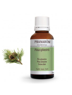 Image de Pin sylvestre - Huile essentielle Pinus sylvestris 30 ml - Pranarôm depuis Les huiles essentielles combattant vos allergies