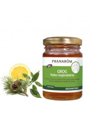 Image de Aromaforce Grog Bio - Voies respiratoires 100 ml - Pranarôm depuis Le miel parfume vos grogs et répond à vos différents maux