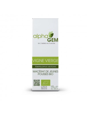 Image de Vigne vierge Macérat de jeunes pousses Bio - Ampelopsis veitchii 15 ml - Alphagem depuis Produits de phytothérapie et d'herboristerie - Bourgeons (12)