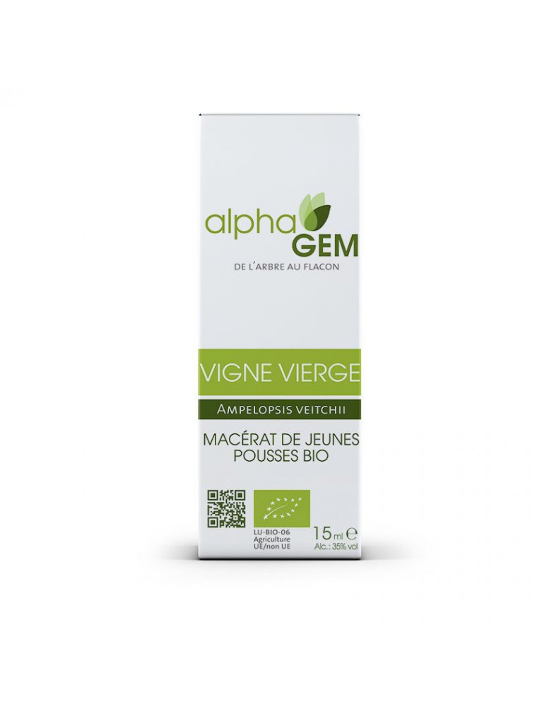 Image principale de la modale pour Vigne vierge Macérat de jeunes pousses Bio - Ampelopsis veitchii 15 ml - Alphagem