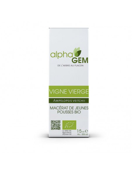 Image principale de Vigne vierge Macérat de jeunes pousses Bio - Ampelopsis veitchii 15 ml - Alphagem