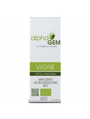 Image de Vigne Macérat de bourgeons Bio - Vitis vinifera 15 ml - Alphagem depuis Découvrez nos bourgeons unitaires naturels pour un bien-être complet (7)