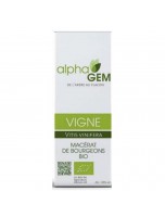 Image de Vigne Macérat de bourgeons Bio - Vitis vinifera 15 ml - Alphagem depuis Bourgeons de gemmothérapie unitaires, en complexes, en gommes ou sans alcool. (12)