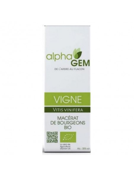 Image principale de Vigne Macérat de bourgeons Bio - Vitis vinifera 15 ml - Alphagem