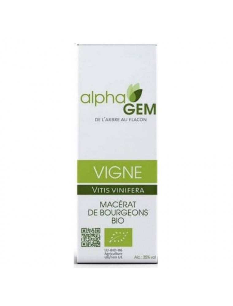 Image principale de la modale pour Vigne Macérat de bourgeons Bio - Vitis vinifera 50 ml - Alphagem