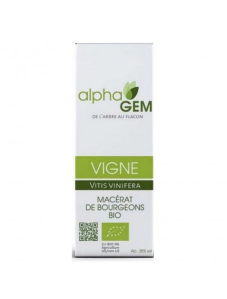 Achetez Vigne Macérat de bourgeons Bio - Vitis vinifera 50 ml - Alphagem à l'herboristerie Louis Image principale de Vigne Macérat de bourgeons Bio - Vitis vinifera 50 ml - Alphagem